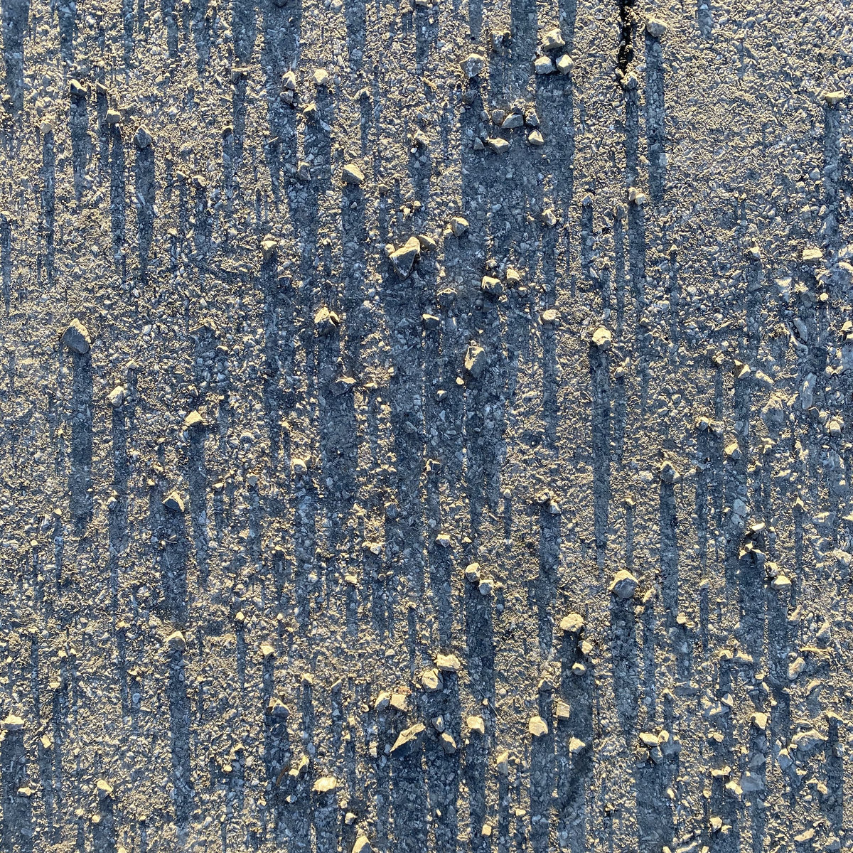 Silver Liz III Album Cover