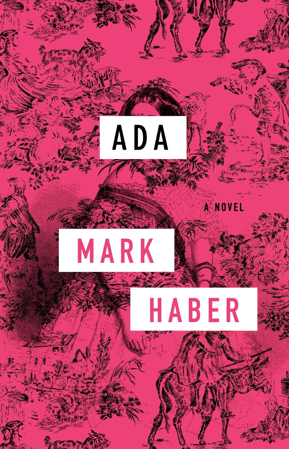 Ada Mark Haber Book Cover