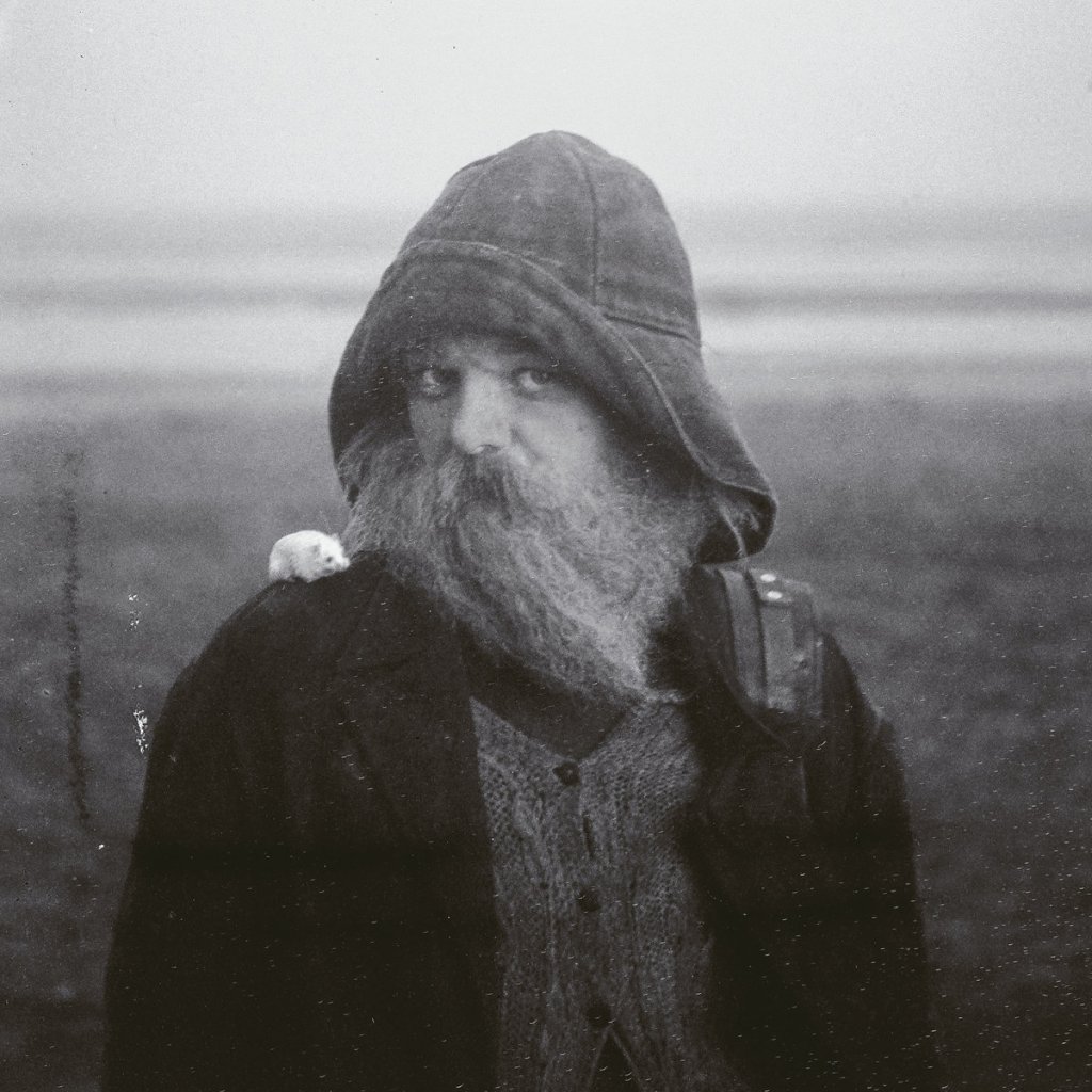 mary in the junkyard Role Model Hermit Album Cover